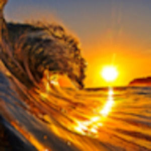 Meet your Posher, Brennan